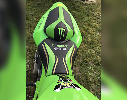Selle z750r monster